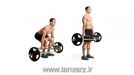 ددلیفت با میله Trap